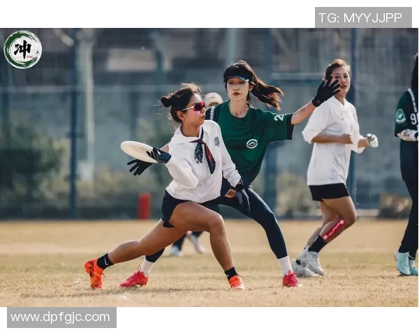深圳飞盘队与南京飞盘队赛后战术分析与总结探讨